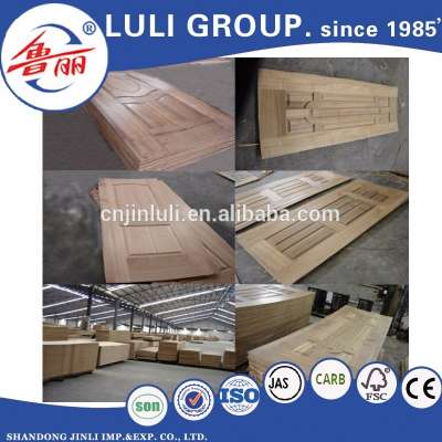 3mm /4mm sell well white primer / melamine/ veneer mould door skin