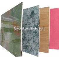 Shandong High Quality Glossy Wood Grain Coated Polyester Plywood for Decoration